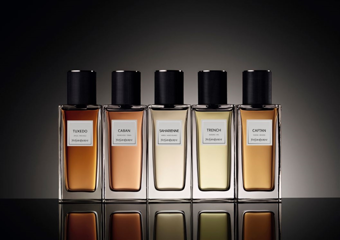 Le vestiaire des parfums: nell'armadio di yves saint laurent ... Nicchia guardaroba