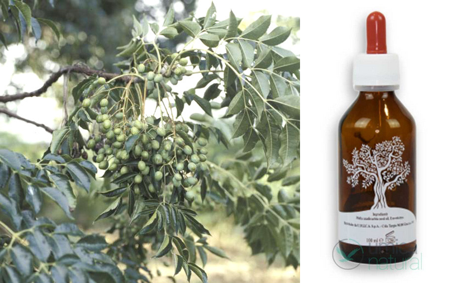 Medicina di perdita di capelli di supplemento dietetica