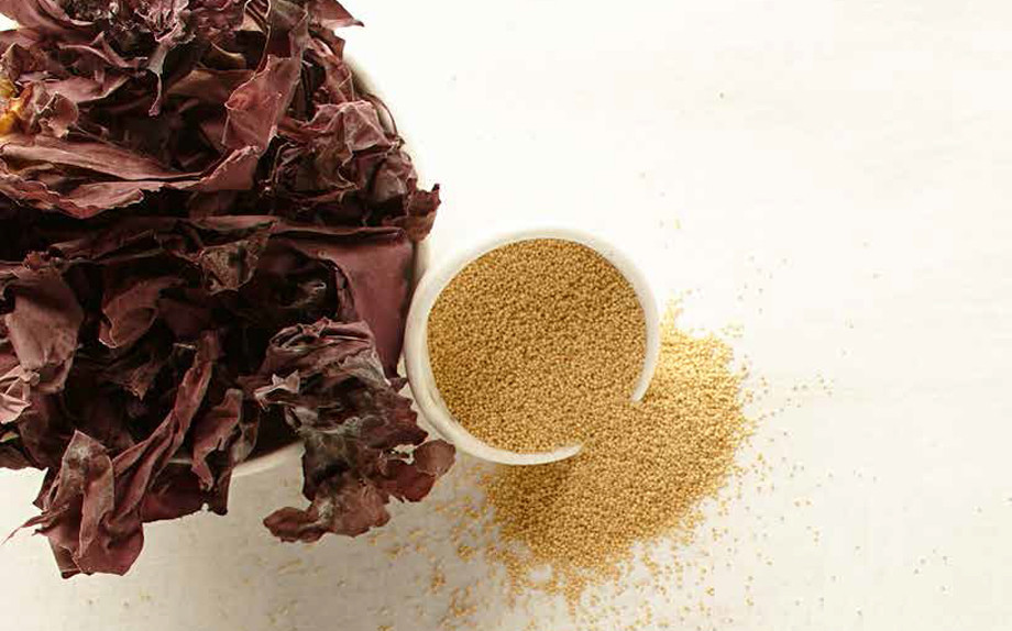 Quali mezzi sono molto buoni per capelli