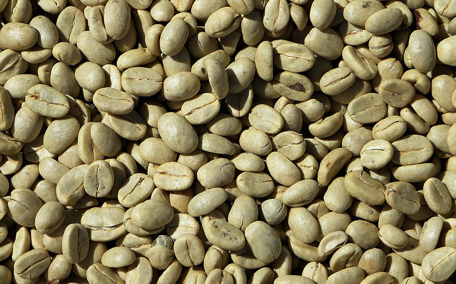 Caffè verde: ecco tutto quello che devi sapere sul superfood